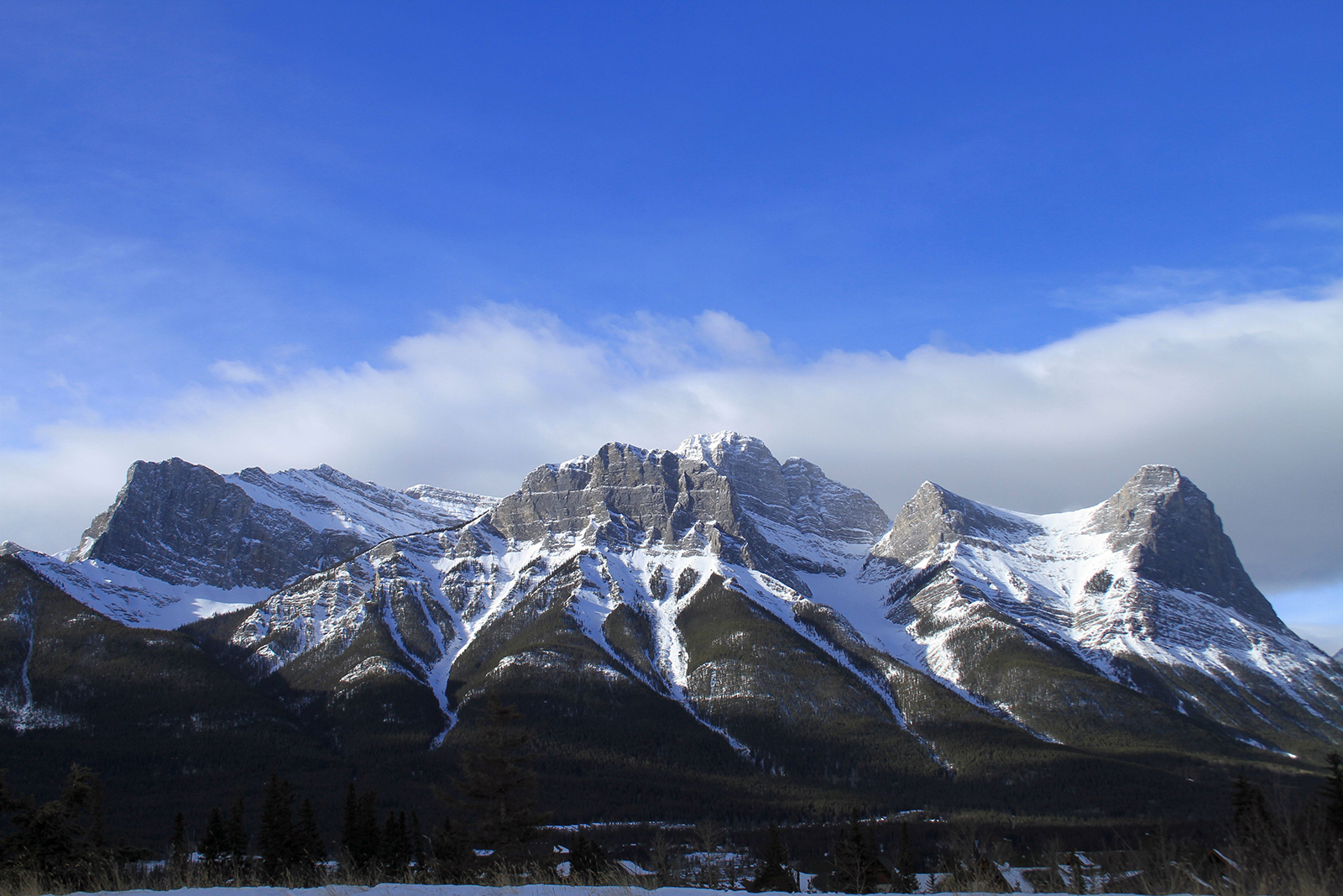 Does Alberta Blue Cross Cover Eye Exams